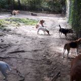 Pippa Emmi Lucy Benno Peppa Simba Tobi Maxi Woody